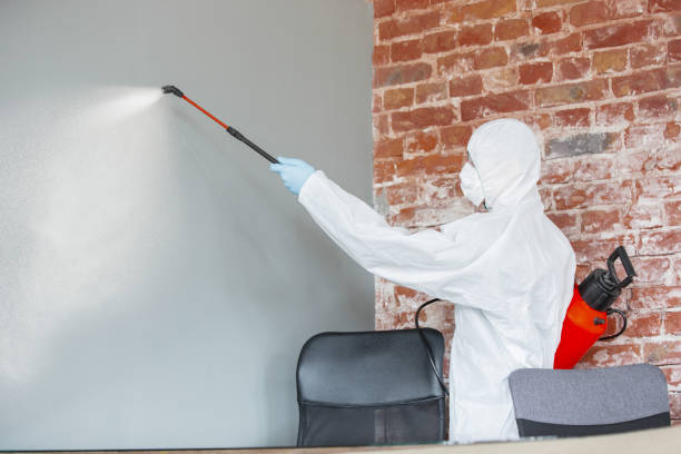Best Industrial Mold Remediation  in Nibley, UT