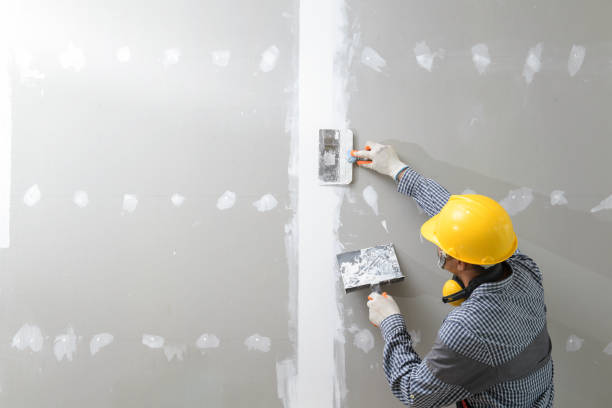 Best Crawl Space Mold Remediation  in Nibley, UT
