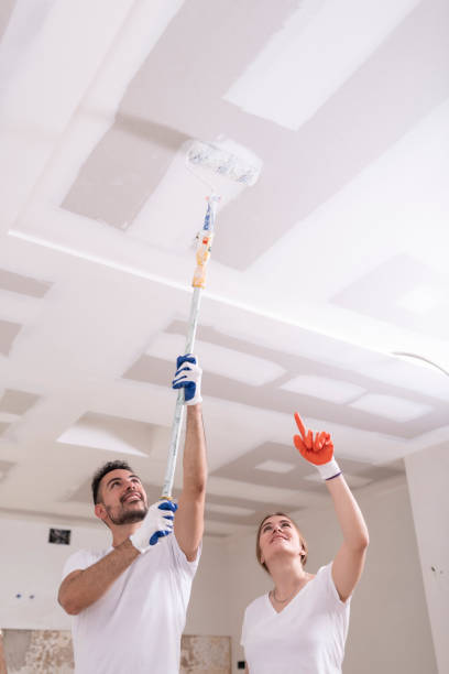Best Biohazard Mold Removal  in Nibley, UT