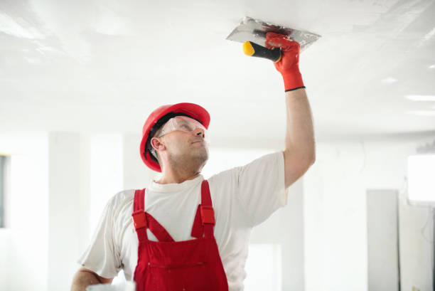 Best Attic Mold Removal  in Nibley, UT