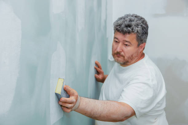 Professional Mold Removal in Nibley, UT