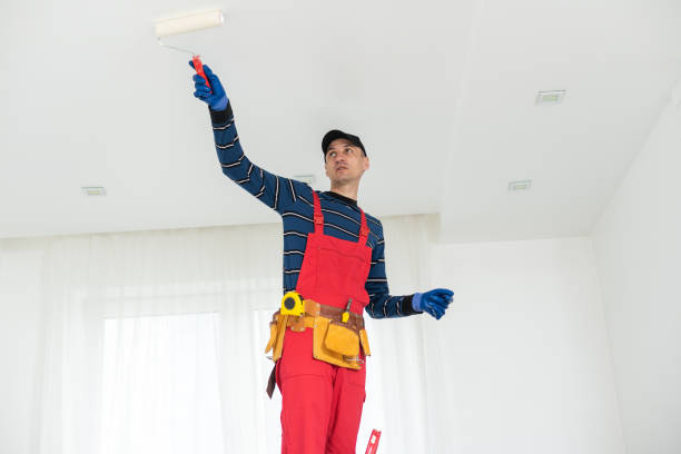 Best Biohazard Mold Removal  in Nibley, UT